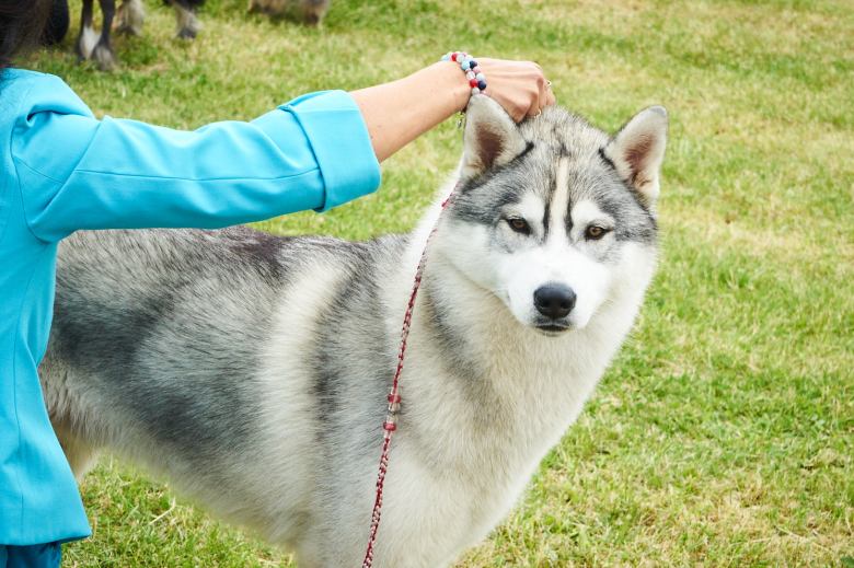 Tous droits réservés