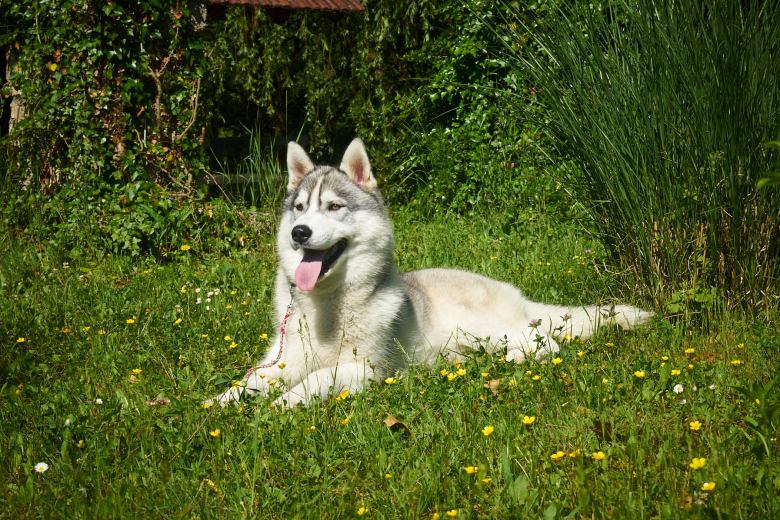 Tous droits réservés