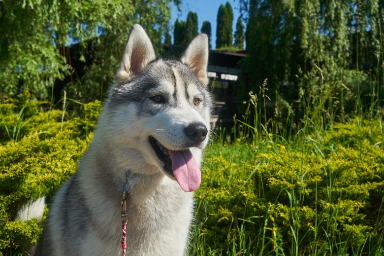 Tous droits réservés