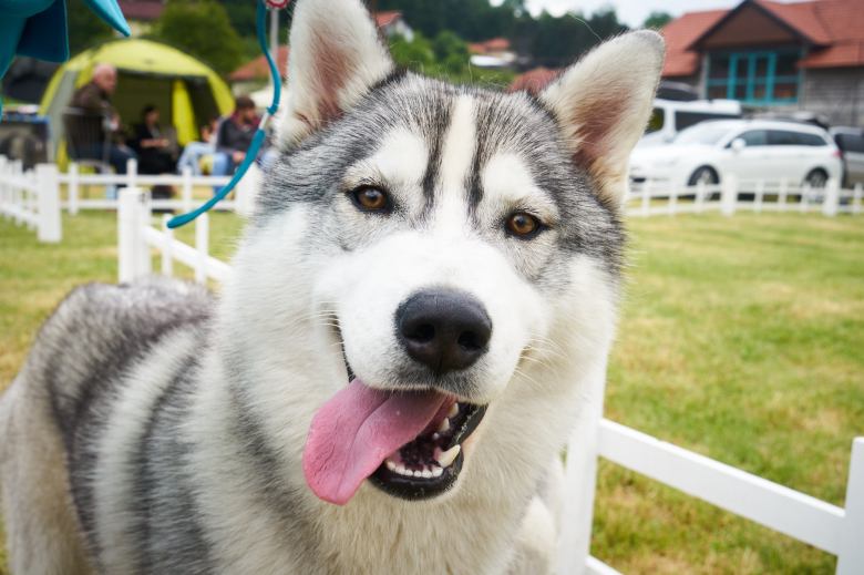 Tous droits réservés