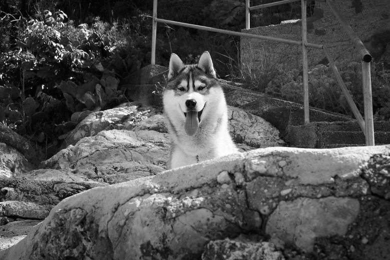 Tous droits réservés