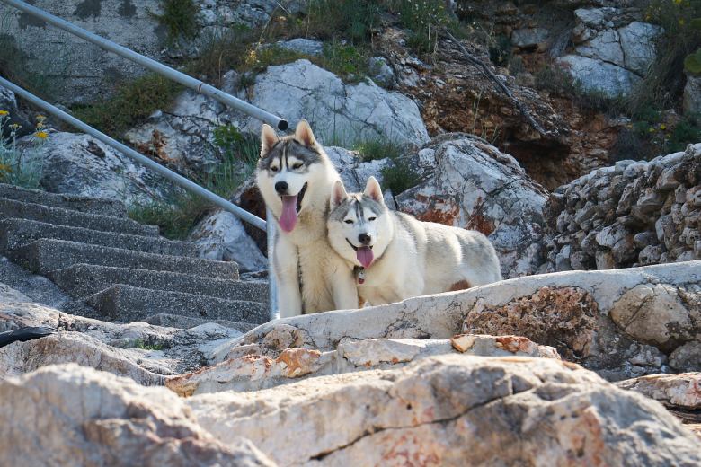 Tous droits réservés